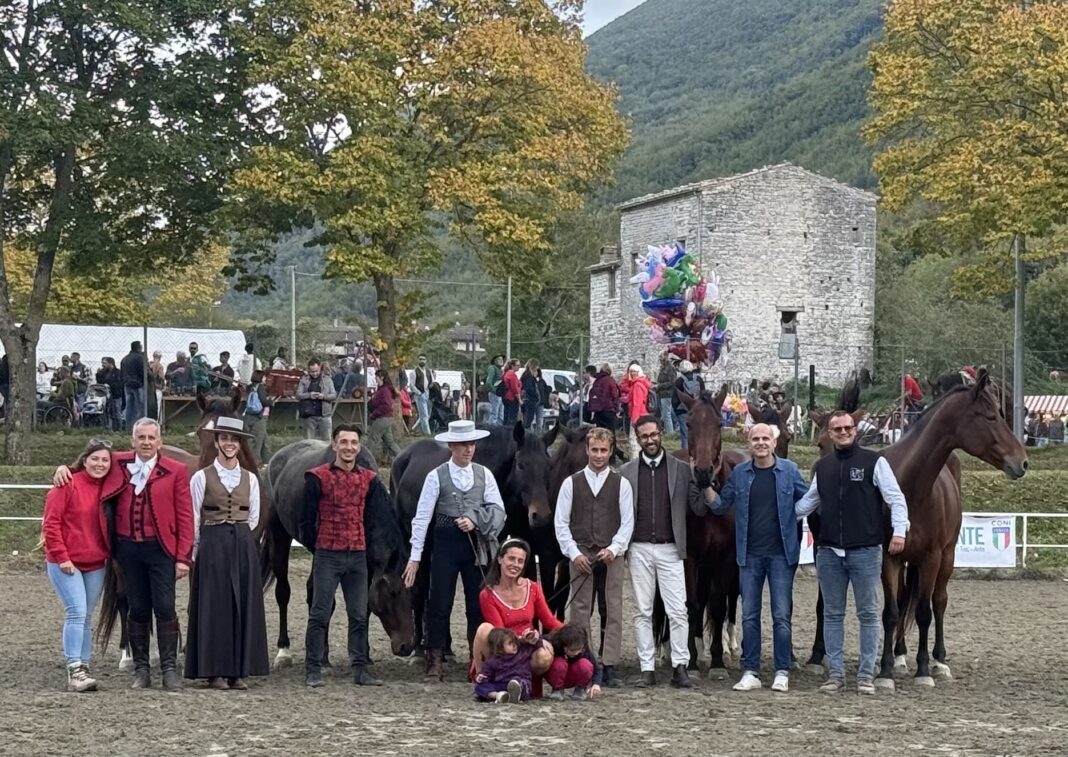Report finale 01