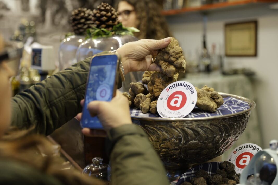 Tartufo bianco di Acqualagna