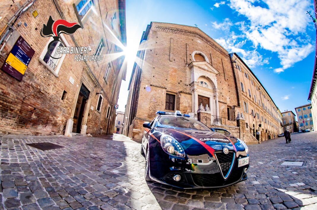 cc urbino
